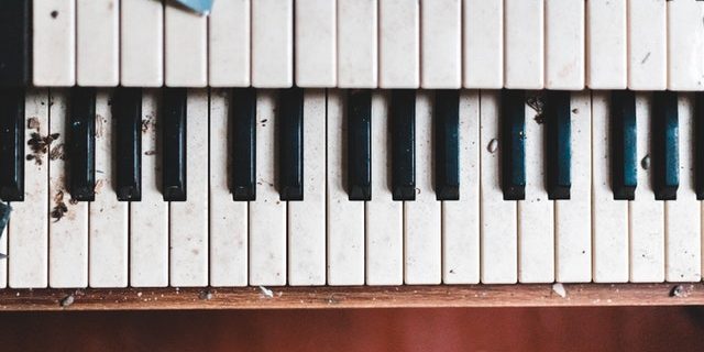 pexels-erik-mclean-4077308